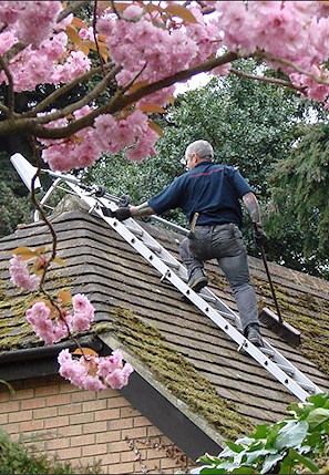 Our staff cleaning the moss from a roof in Hamworthy near Poole